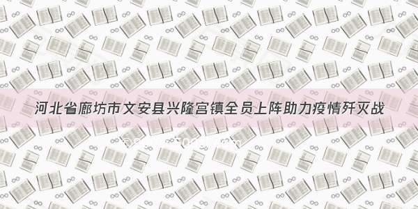 河北省廊坊市文安县兴隆宫镇全员上阵助力疫情歼灭战