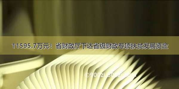 11595.7万元！省财政厅下达省级财政专项扶贫发展资金