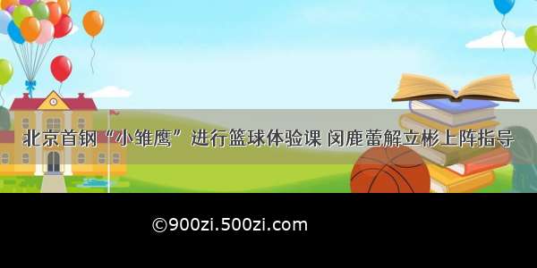 北京首钢“小雏鹰”进行篮球体验课 闵鹿蕾解立彬上阵指导
