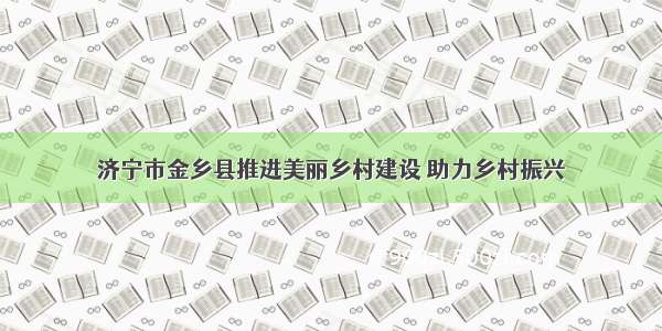 济宁市金乡县推进美丽乡村建设 助力乡村振兴