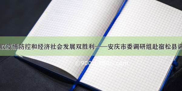 全力夺取疫情防控和经济社会发展双胜利——安庆市委调研组赴宿松县调研纪实