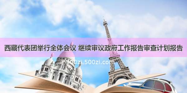 西藏代表团举行全体会议 继续审议政府工作报告审查计划报告