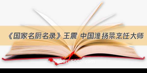 《国家名厨名录》王震 中国淮扬菜烹饪大师