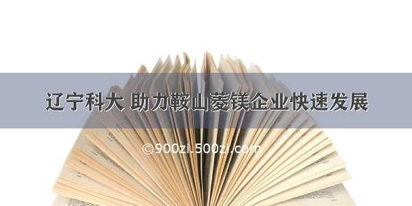 辽宁科大 助力鞍山菱镁企业快速发展