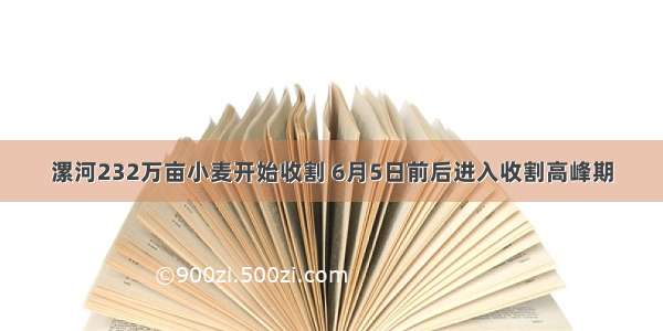 漯河232万亩小麦开始收割 6月5日前后进入收割高峰期