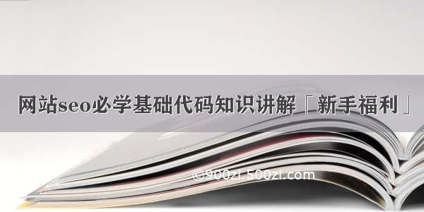 网站seo必学基础代码知识讲解「新手福利」