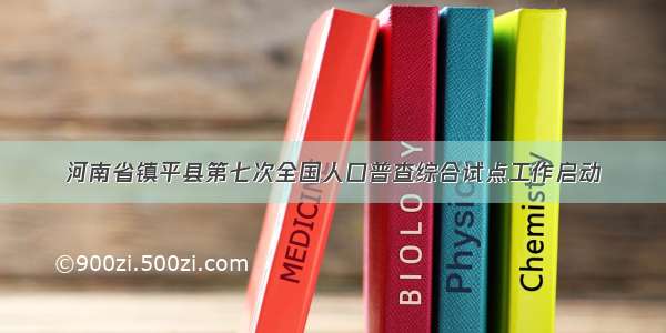 河南省镇平县第七次全国人口普查综合试点工作启动