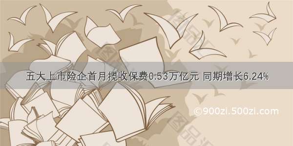 五大上市险企首月揽收保费0.53万亿元 同期增长6.24%