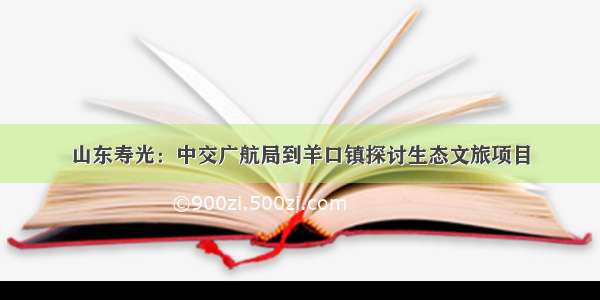 山东寿光：中交广航局到羊口镇探讨生态文旅项目