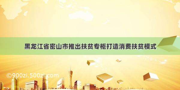 黑龙江省密山市推出扶贫专柜打造消费扶贫模式