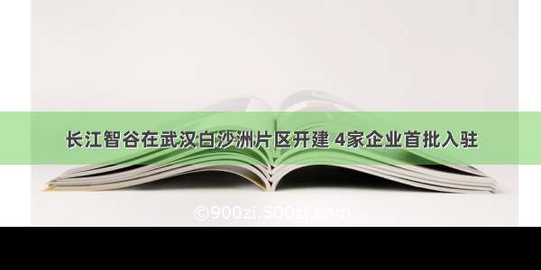 长江智谷在武汉白沙洲片区开建 4家企业首批入驻