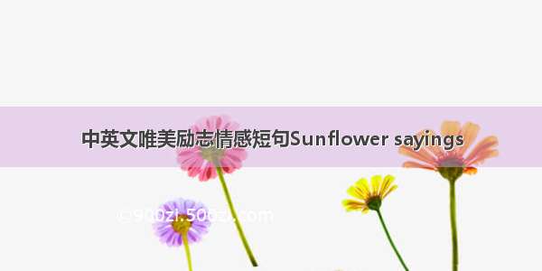 中英文唯美励志情感短句Sunflower sayings