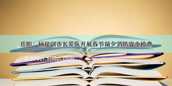 岳阳：杨昆副市长带队开展春节前夕消防安全检查