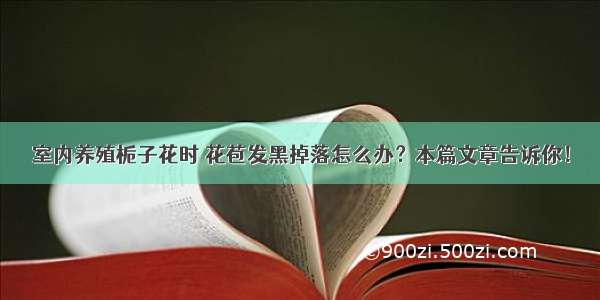 室内养殖栀子花时 花苞发黑掉落怎么办？本篇文章告诉你！