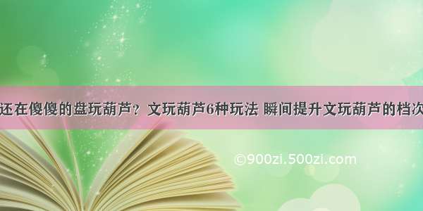 还在傻傻的盘玩葫芦？文玩葫芦6种玩法 瞬间提升文玩葫芦的档次