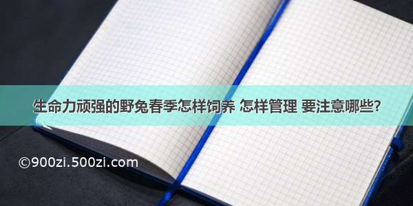 生命力顽强的野兔春季怎样饲养 怎样管理 要注意哪些？