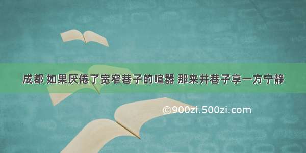 成都 如果厌倦了宽窄巷子的喧嚣 那来井巷子享一方宁静