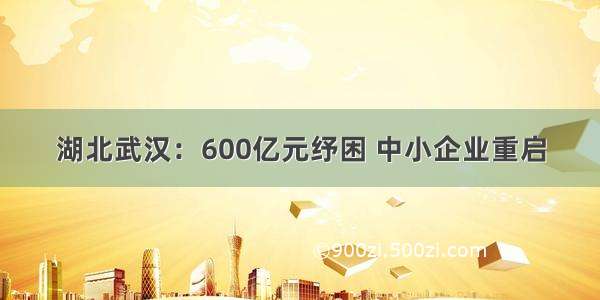 湖北武汉：600亿元纾困 中小企业重启