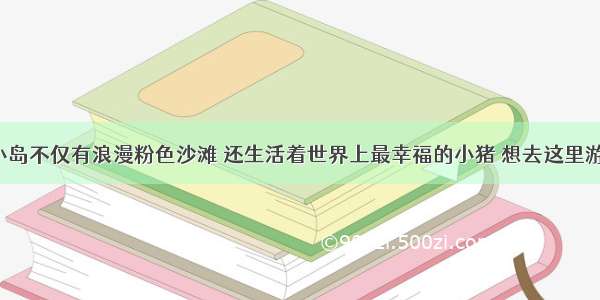 这个免签小岛不仅有浪漫粉色沙滩 还生活着世界上最幸福的小猪 想去这里游泳过夏天~