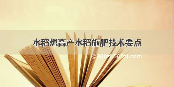 水稻想高产水稻施肥技术要点