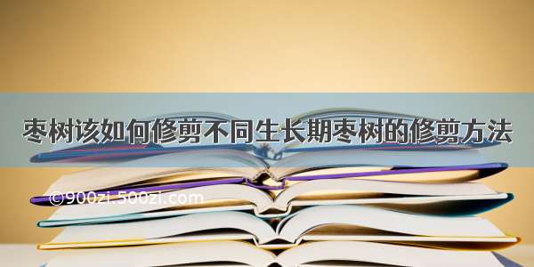 枣树该如何修剪不同生长期枣树的修剪方法