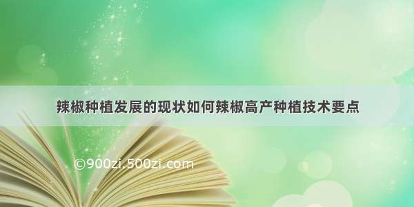 辣椒种植发展的现状如何辣椒高产种植技术要点