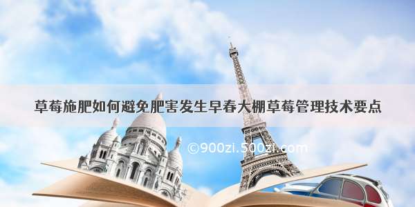 草莓施肥如何避免肥害发生早春大棚草莓管理技术要点