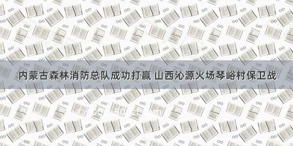 内蒙古森林消防总队成功打赢 山西沁源火场琴峪村保卫战