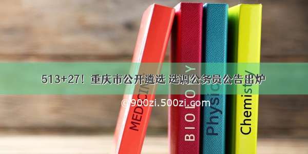 513+27！重庆市公开遴选 选调公务员公告出炉