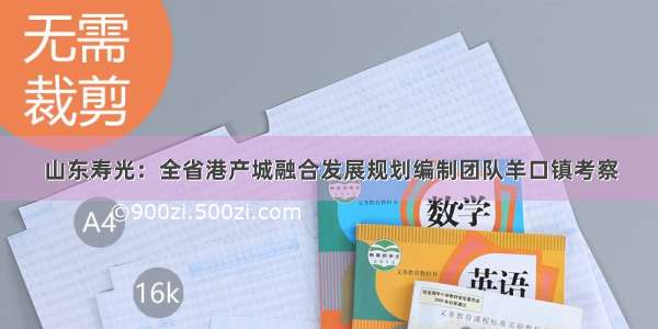 山东寿光：全省港产城融合发展规划编制团队羊口镇考察