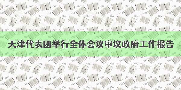 天津代表团举行全体会议审议政府工作报告