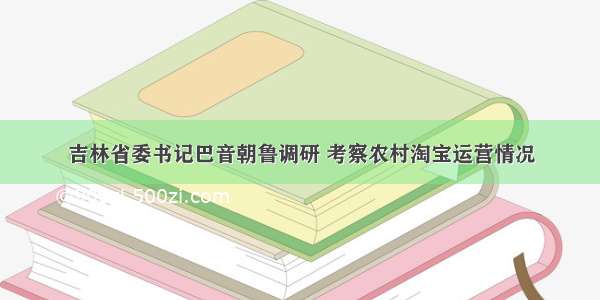 吉林省委书记巴音朝鲁调研 考察农村淘宝运营情况