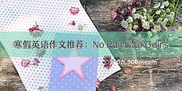 寒假英语作文推荐：No Pains No Gains