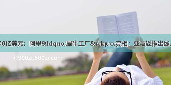 快手拟在香港IPO估值500亿美元；阿里“犀牛工厂”亮相；亚马逊推出线上奢侈品“店中店