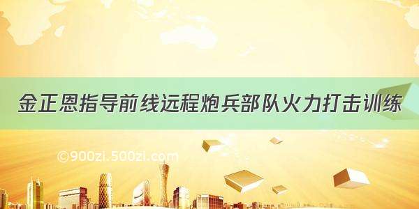 金正恩指导前线远程炮兵部队火力打击训练