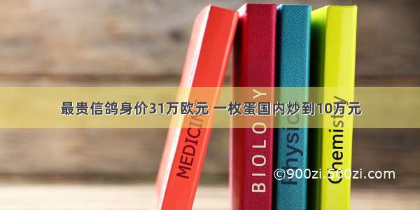 最贵信鸽身价31万欧元 一枚蛋国内炒到10万元