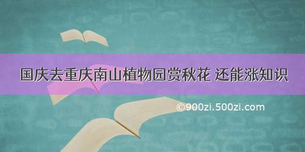 国庆去重庆南山植物园赏秋花 还能涨知识