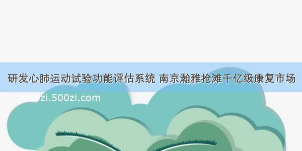 研发心肺运动试验功能评估系统 南京瀚雅抢滩千亿级康复市场