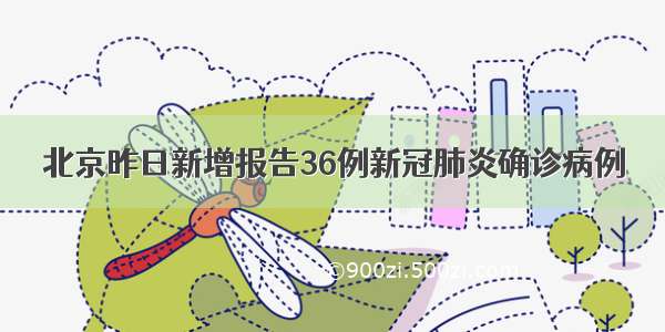 北京昨日新增报告36例新冠肺炎确诊病例
