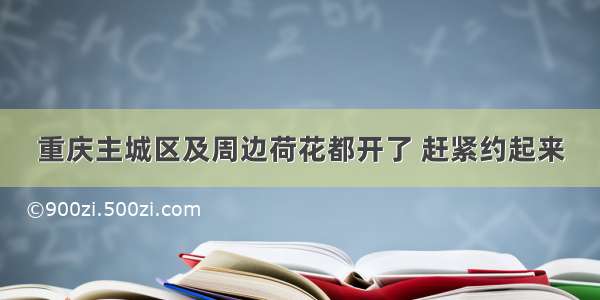 重庆主城区及周边荷花都开了 赶紧约起来