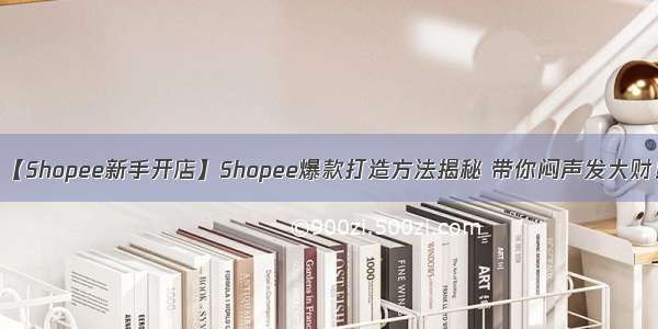 【Shopee新手开店】Shopee爆款打造方法揭秘 带你闷声发大财！