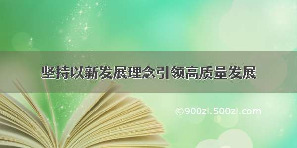 坚持以新发展理念引领高质量发展