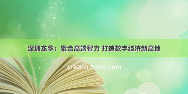 深圳龙华：聚合高端智力 打造数字经济新高地