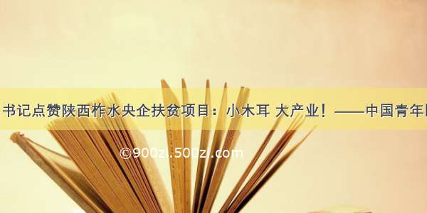 习近平总书记点赞陕西柞水央企扶贫项目：小木耳 大产业！——中国青年网 触屏版