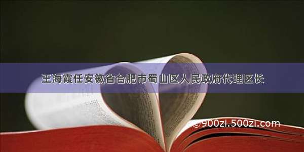 王海霞任安徽省合肥市蜀山区人民政府代理区长