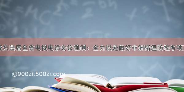 王晓东出席全省电视电话会议强调：全力以赴做好非洲猪瘟防控各项工作