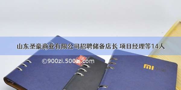 山东圣豪商业有限公司招聘储备店长 项目经理等14人