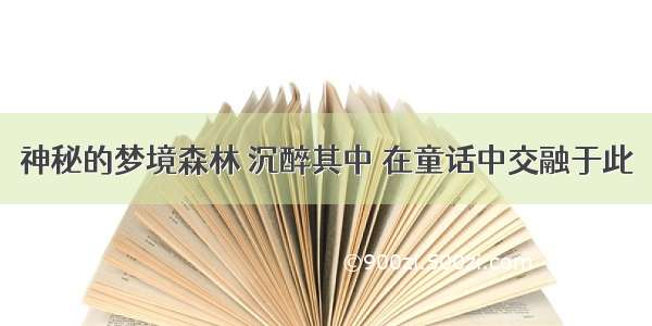 神秘的梦境森林 沉醉其中 在童话中交融于此