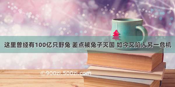 这里曾经有100亿只野兔 差点被兔子灭国 如今又陷入另一危机