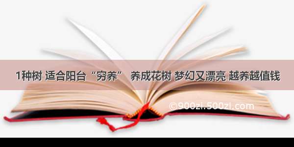 1种树 适合阳台“穷养” 养成花树 梦幻又漂亮 越养越值钱